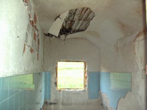 bosnia_rob_2 (4).jpg